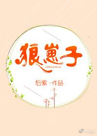 捕风追影狼崽子