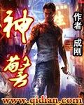 神警奇偷电视剧