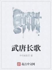 唐朝长歌简历