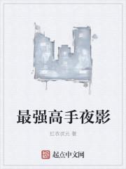 最强高手全文免费阅读