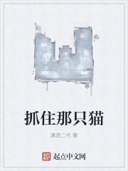 抓到一只猫怎么处理
