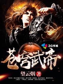 武主苍穹