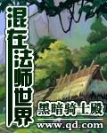 物质世界 法师