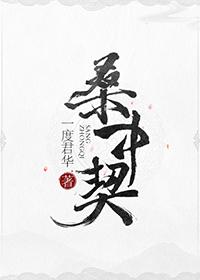 明月入君怀大结局免费观看