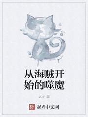 从海贼开始转动磁场 起点
