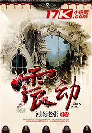 震动泵