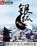 银狐在线阅读