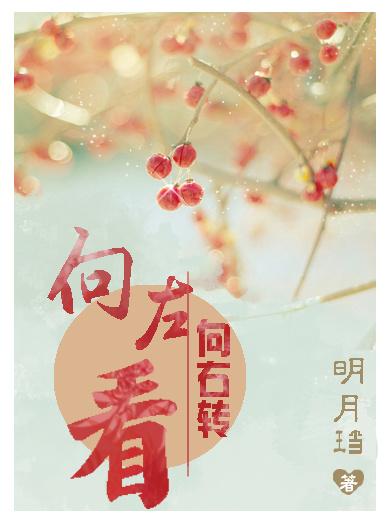 向左看向右转书评