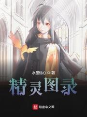 精灵图鉴是什么