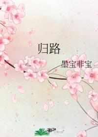归路分集剧情