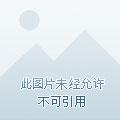 末世围城攻略