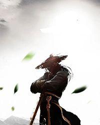 绝世武林至宝