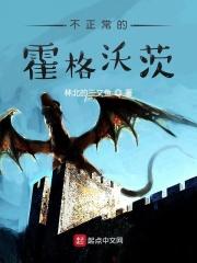 霍格沃茨的不正常攻略起点