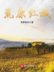 荒原红城讲了什么