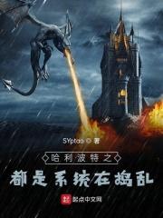 哈利波特系统同人文