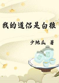 我的道侣是剑修完整版