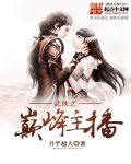 武侠巅峰之上 起点