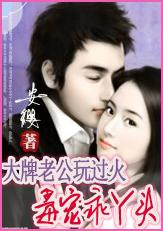 大牌老公宠婚无限云初