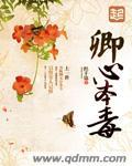 卿本情深