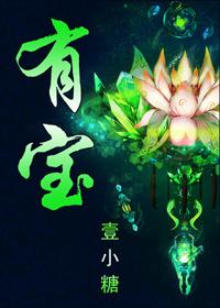 有宝石山甚胜翻译
