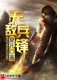 无敌兵王李风txt