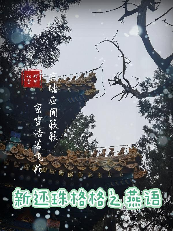 新还珠格格后续燕妃