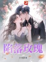 陷落玫瑰第二季名字