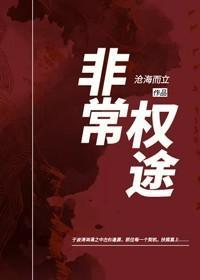 非常官途之暗局