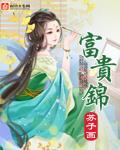富贵锦丝巾