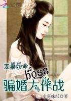 宠妻如命简介