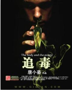 追毒风暴原型
