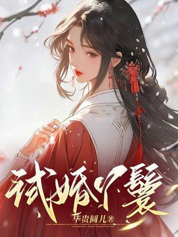 试婚丫鬟锦鸢和赵非荀的