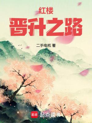 红楼晋升之路 无错版
