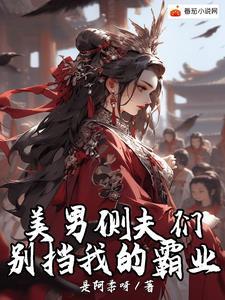 妻主没有情丝