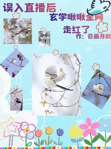 小金乌他表妹