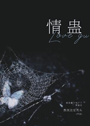 苗疆少年的
