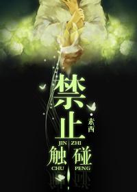 禁止触碰txt