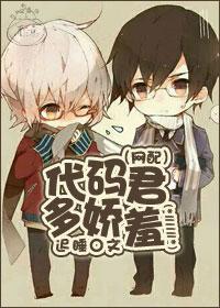 代码大全中文版