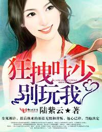 叶少独宠