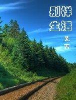 红楼之老太太的别样生活