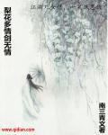 梨花情歌曲的意思