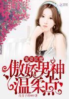 宠妻狂魔傲娇boss