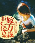 误惹天价总裁