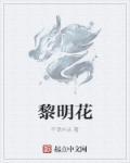 黎明花呗人工客服电话