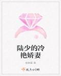 陆少的暖婚新妻免费阅读网
