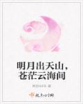 苍茫云海间什么意思
