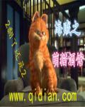 海贼王之猫咖