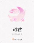 司君是谁