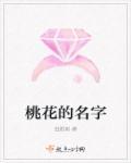 东北人反击黄金剩女