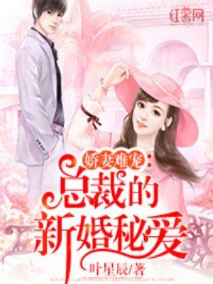 总裁的新蜜新娘